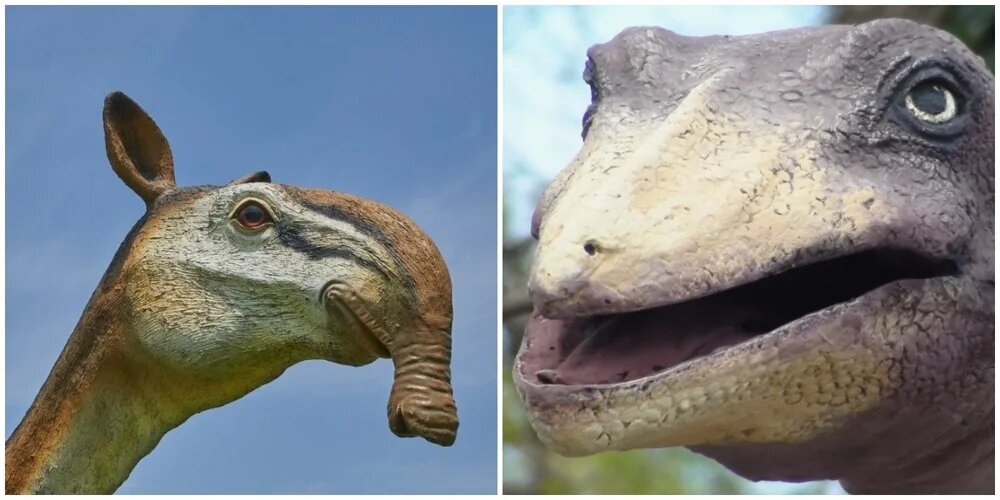 Картинки виды динозавров с названиями (58 фото) 🔥 Прикольные картинки и юмор