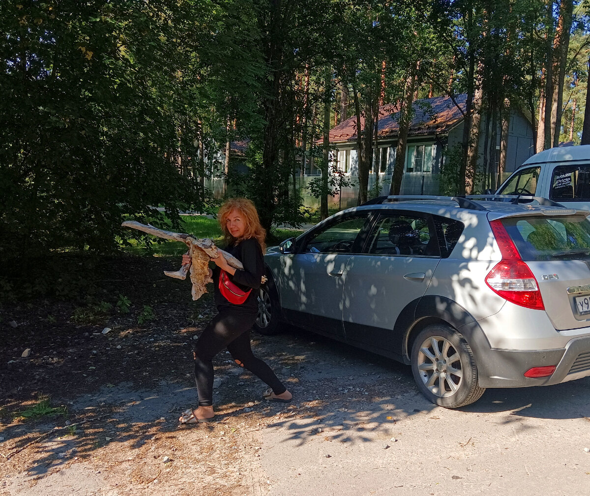 Автор на отдыхе. С корягой. И вздыбленными волосами. ))