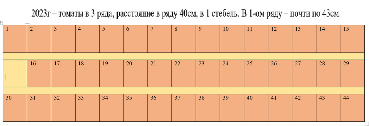 Схема размещения томатов в парнике в 2023г.