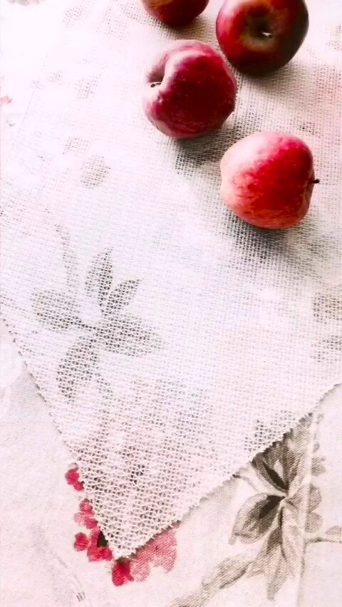  Дорожка из сетки. (Авторское фото).