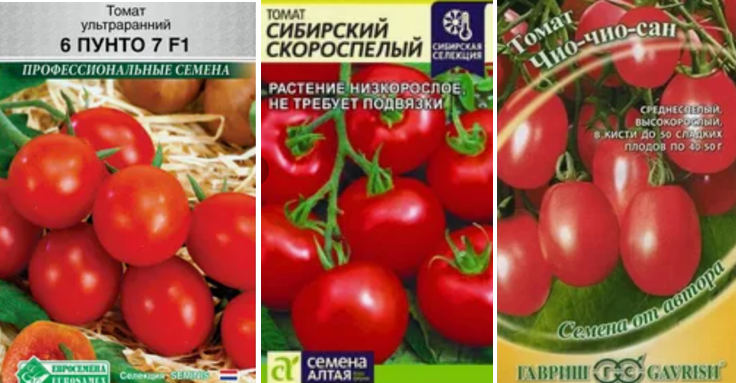 Оптимальные сроки посадки томатов