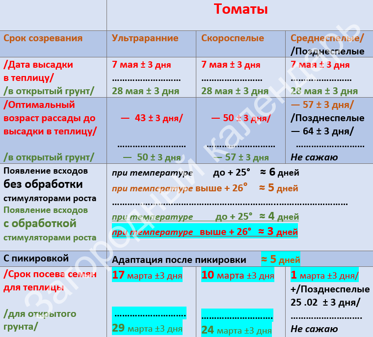 Таблица оптимальных сроков посева семян томатов