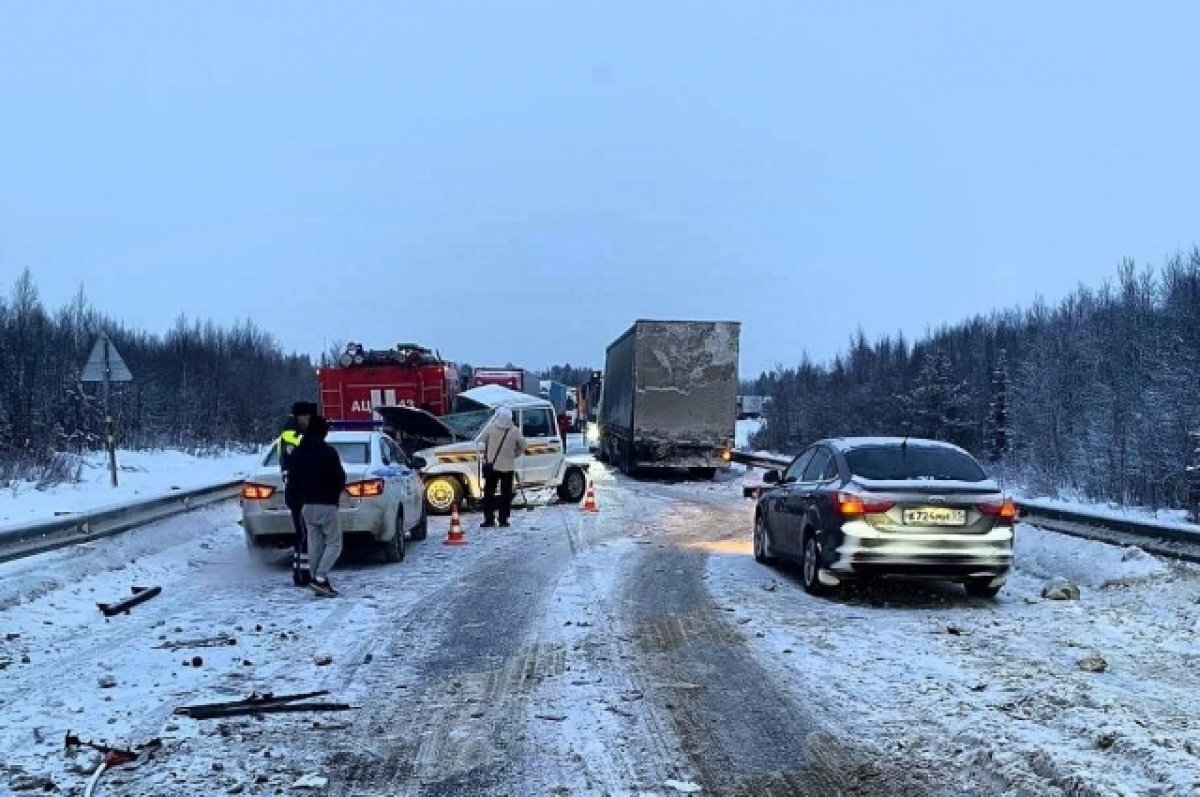    Довезли до суда.