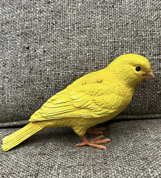 Клатч-канарейка