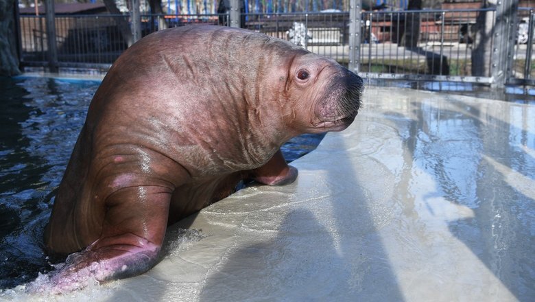 Источник: РИА «Новости»