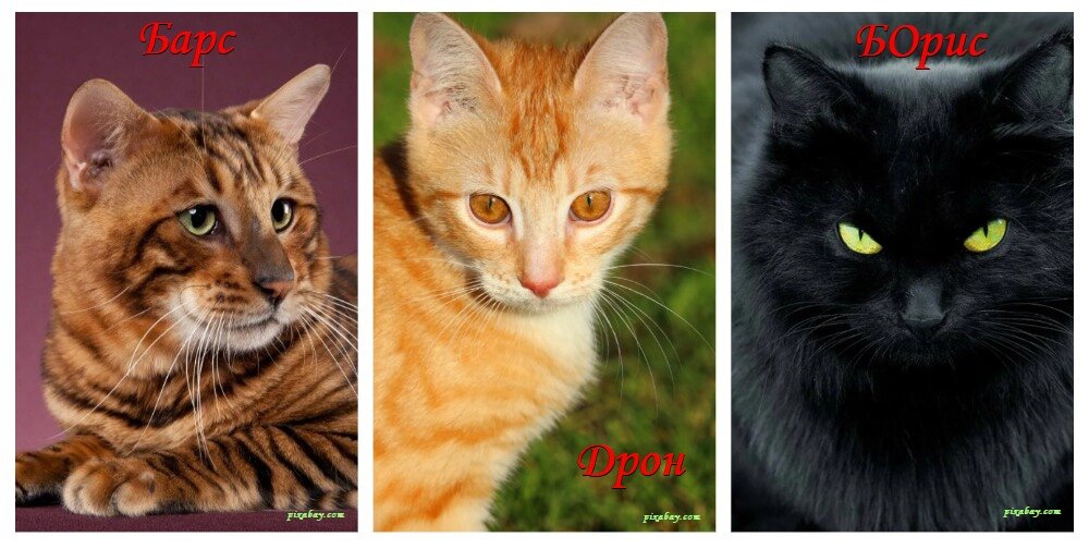 семи и двадцати трех. семи и двадцати трех. семи и двадцати трех. дробь тридцать одна восьмая =. запишите цифрами.