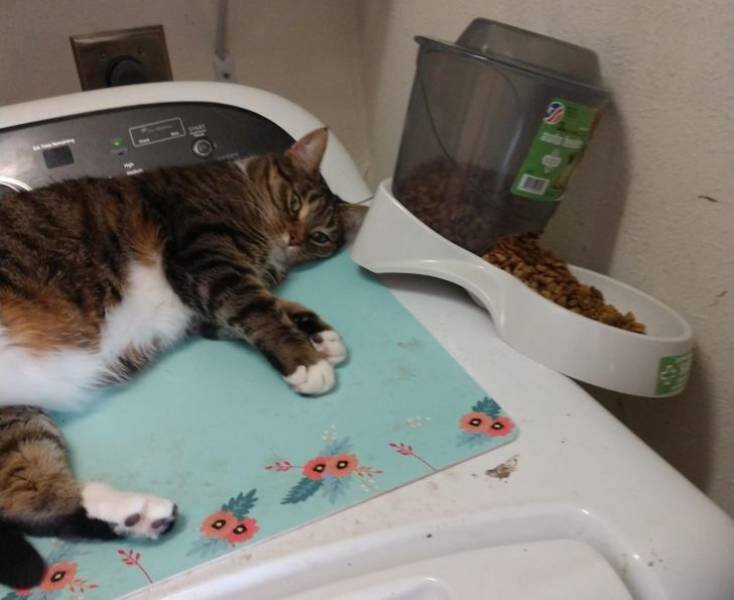 Источник Яндекс картинки. 