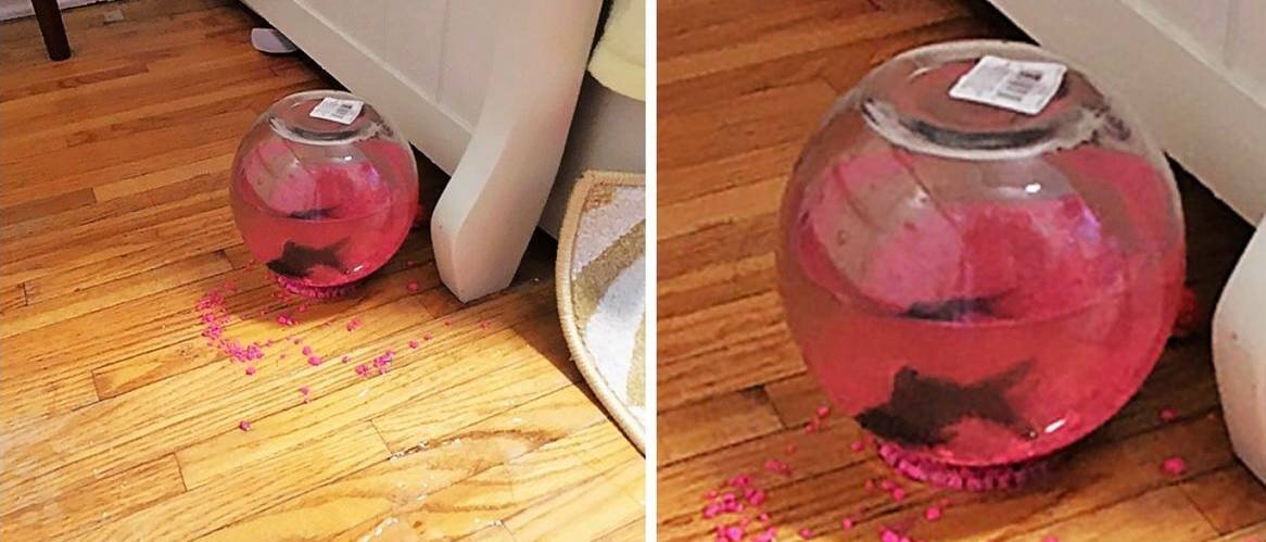 Источник Яндекс картинки. 