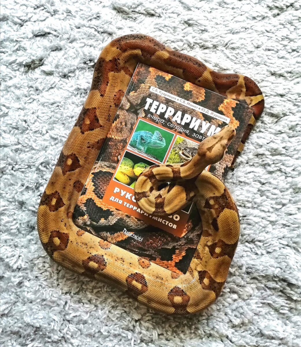 Фото автора