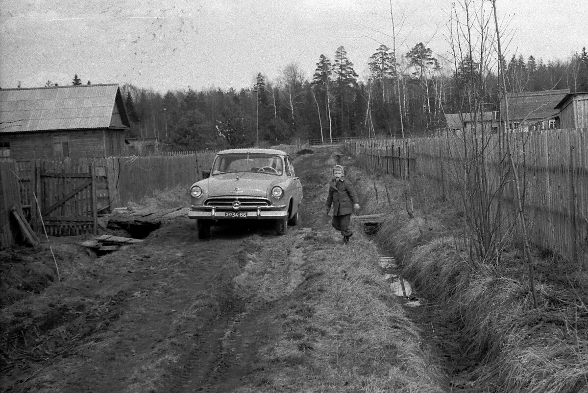 ГАЗ-21, гос. номер «ЭО 34-66», Московская область, садоводческое товарищество «Труд», 1961 год. Фотография © Александр Ковалев