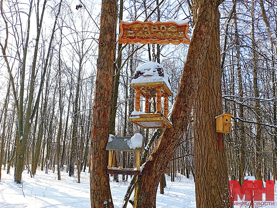 описание слона. интересные факты о морях и реках россии. самое самое окружающий мир. самая высокая гора в мире эверест или гималаи. коллаж природа.