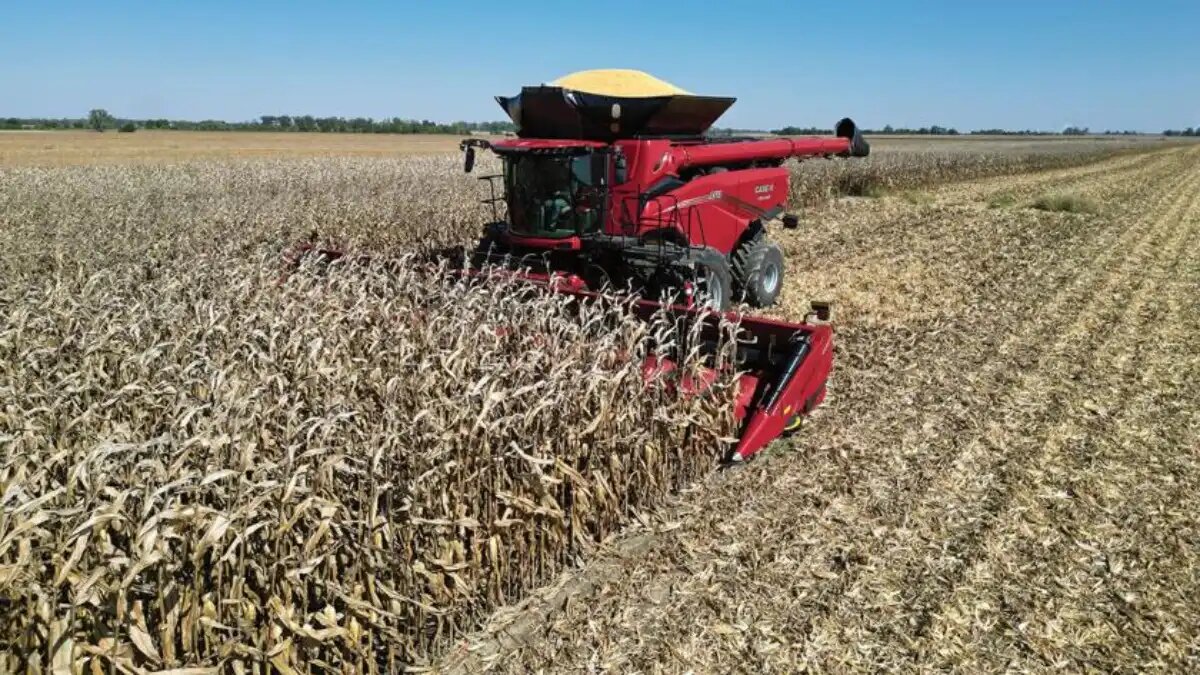 Фото:cdn.farmjournal.com В США неуклонно сокращается количество фермерских хозяйств