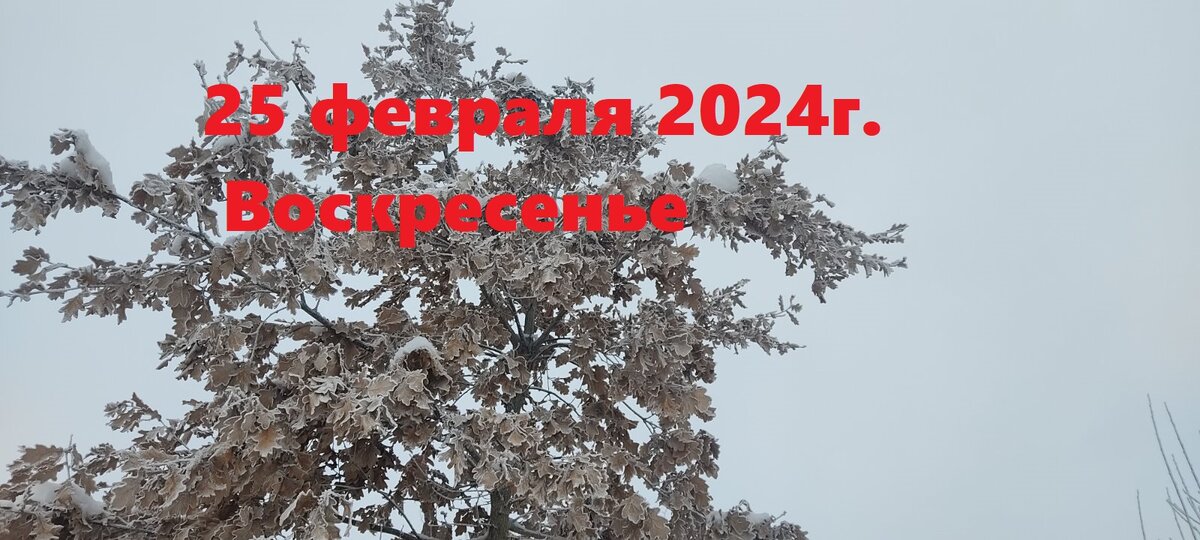 Как самому быть спокойным. Как самому быть спокойным. Как самому быть спокойным. Спокойствие в стрессовой ситуации. Как самому быть спокойным.