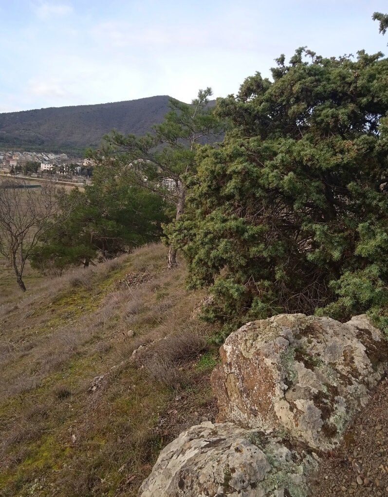 Вдали видна гора Перчем - самая высокая гора в окрестностях Судака.