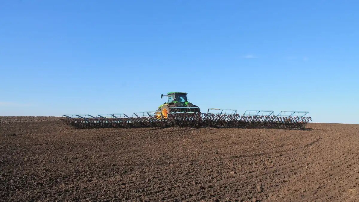 Фото: © Артем Борисов / Glavpahar.ru Фотография носит иллюстративный характер