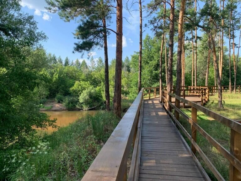    В «Бузулукском бору» готовятся к новому туристическому сезону Кристина Просвиркина