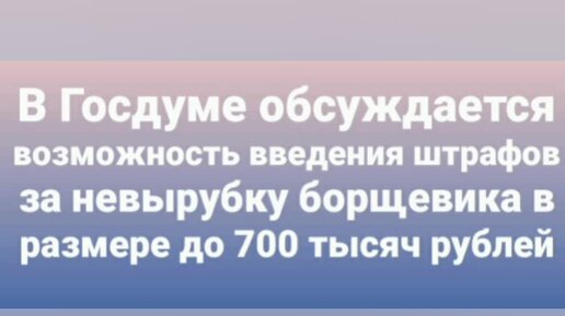 Вопросы узнать что хочешь. Интересные вопросы. Вопросы узнать что хочешь. Вопросы для парочек. Интересные вопросы.
