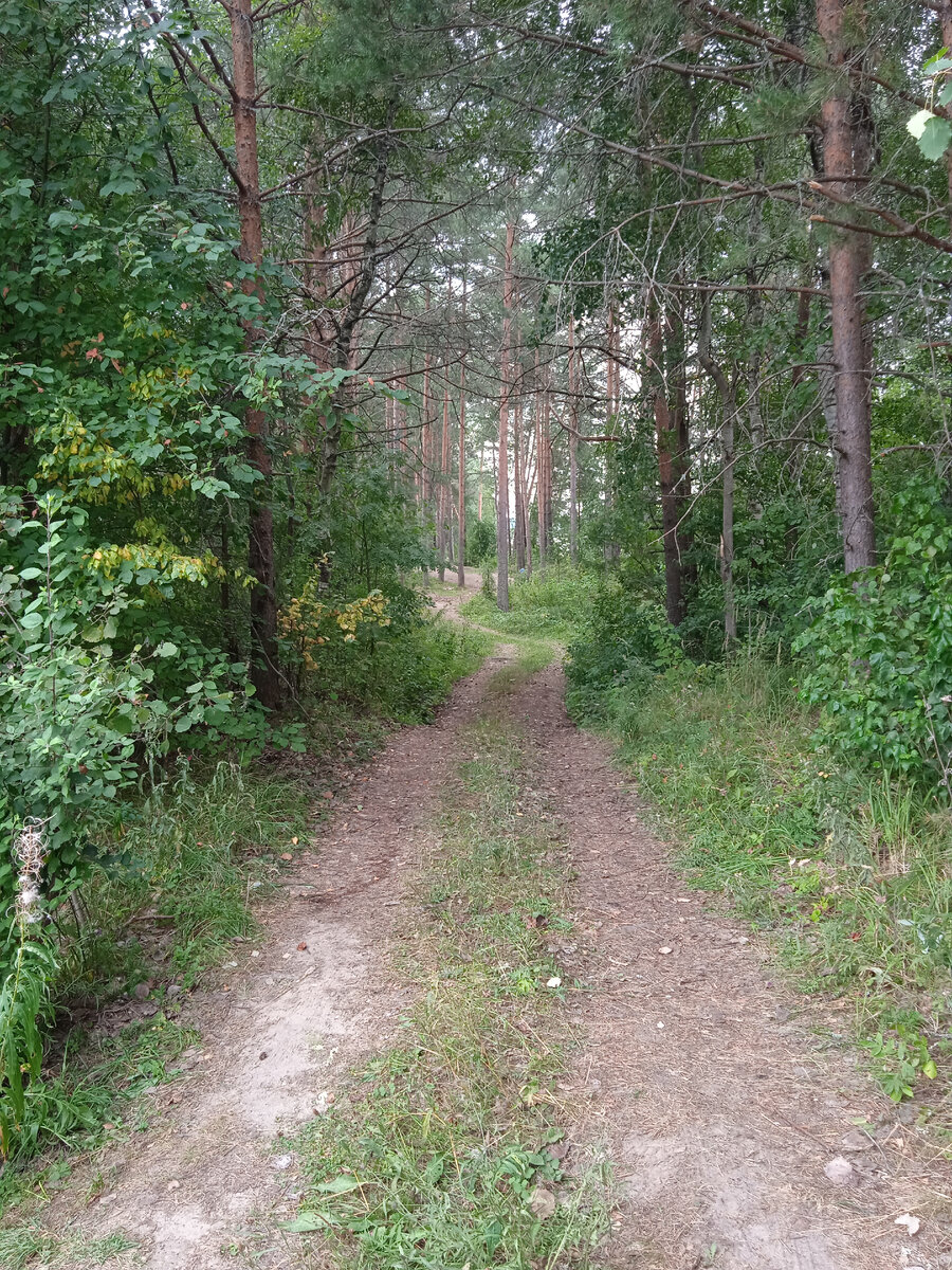 "К тётке, в глушь, в Саратов", фото из архива автора