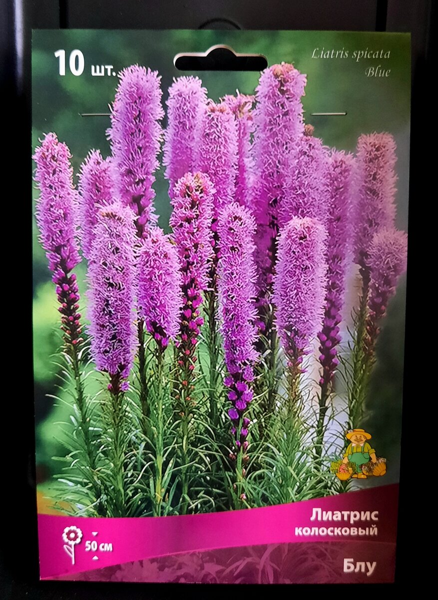 Фото автора. Ну, он-то как раз для моего нового цветника.