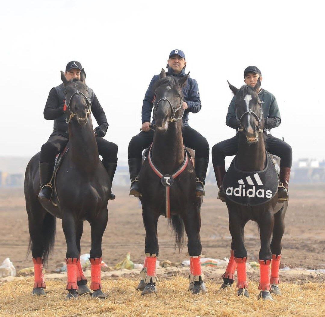 Конь (англ. horse) - это млекопитающее семейства лошадиных, используемое в качестве транспортного средства, для работы на фермах, в спорте и развлечениях. Кони имеют четыре ноги, гриву и хвост, сложную социальную структуру и обладают высокой выносливостью. Они были одними из первых домашних животных, прирученных человеком и сопровождали его на протяжении многих тысячелетий. Кроме того, кони служат символом силы, красоты и свободы.