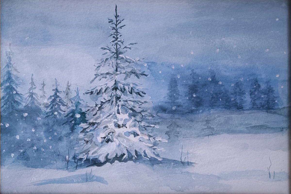 Ель в зимнем лесу. 2024 г. 