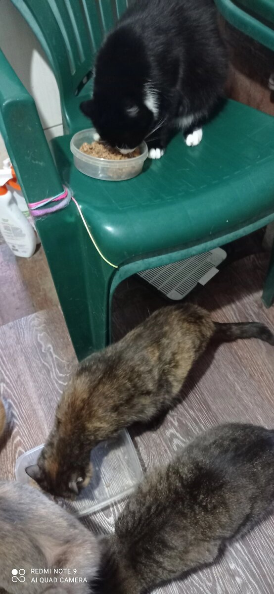 Тысячи довольных покупателей. Довольный клиент. Остались очень довольны. Остались очень довольны. Остались очень довольны.