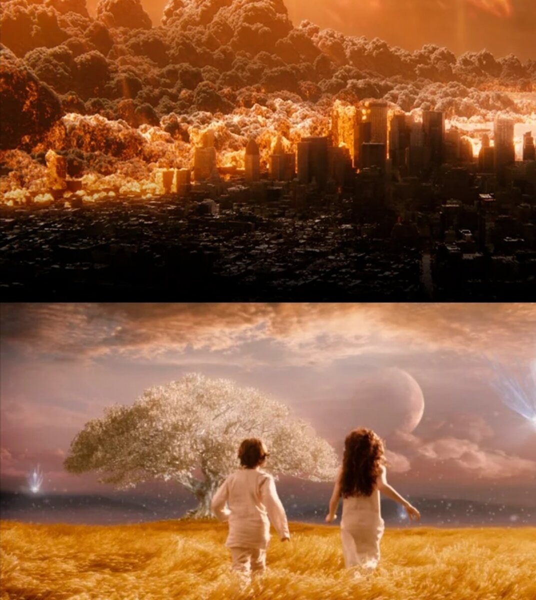 картинка взята из свободного доступа Интернет