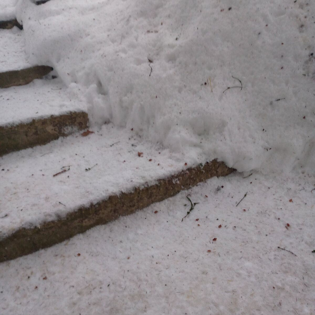Снег тает и с ёлок летит мусор. Не люблю это время года.