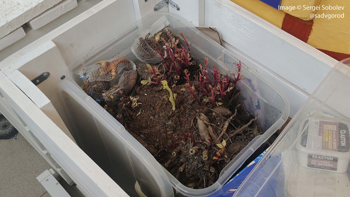 28 13 02. Nn-df383bzpe (инверторная). 654-3101031. Евровинт 661. 28 13 02.