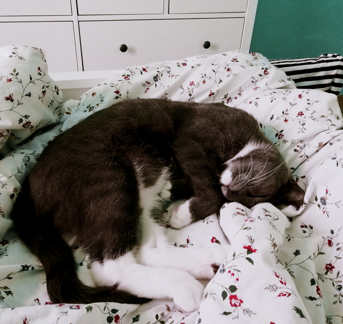 Мой источник внутренней силы