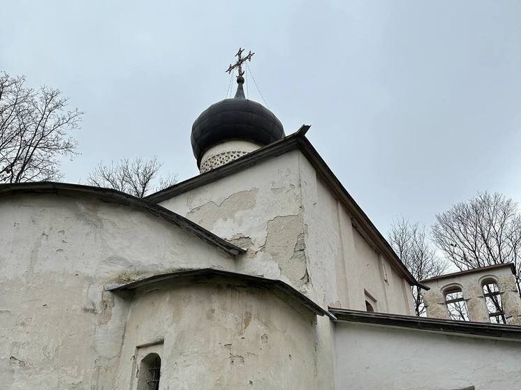    Снег на полях лежит — к хорошему урожаю. фото: мк в ленобласти