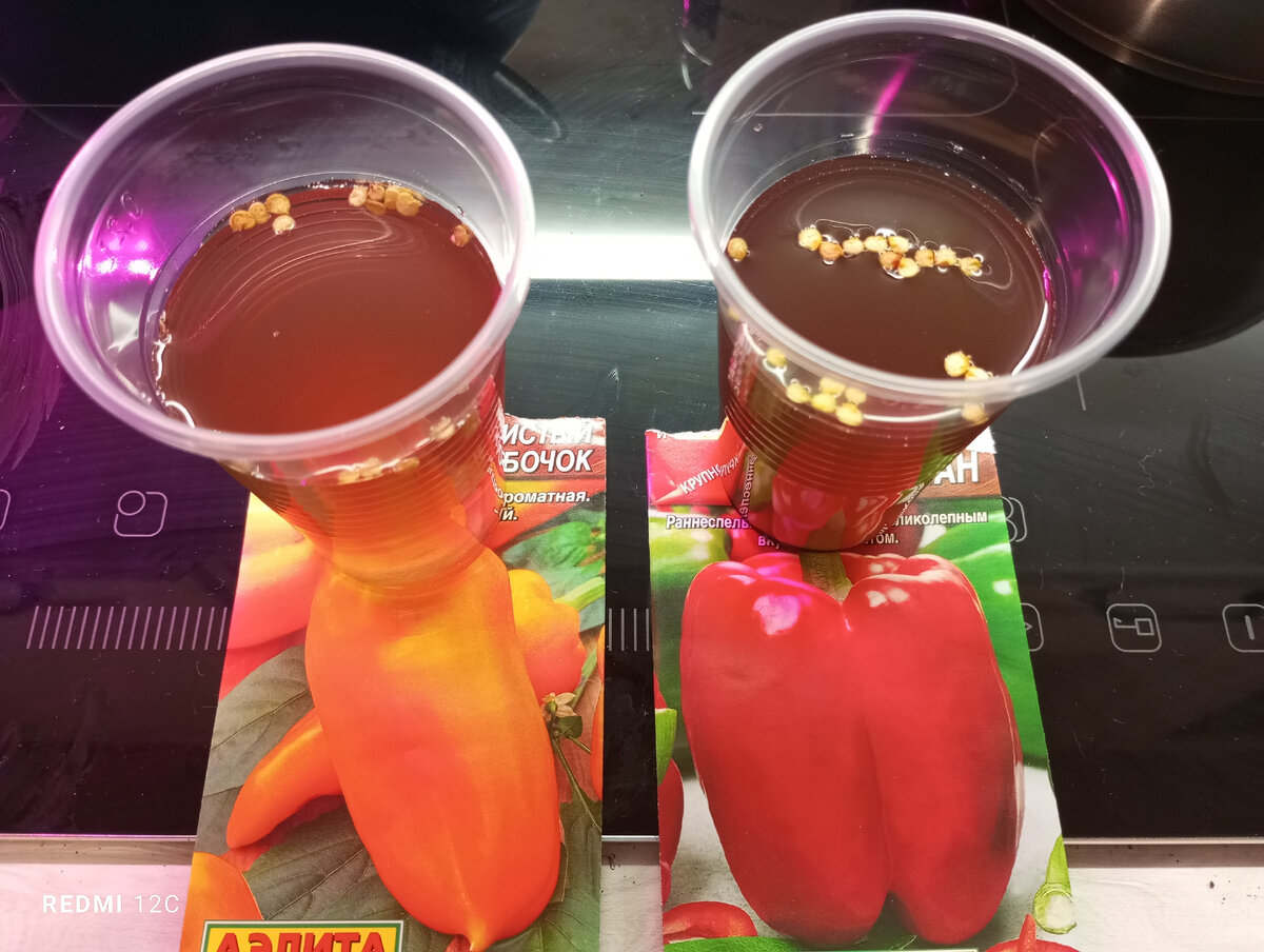 Замочил семена