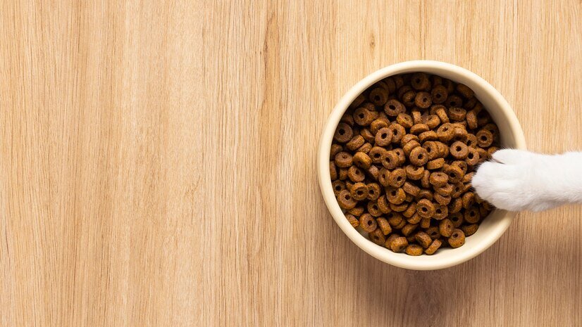 Фотограф: freepik