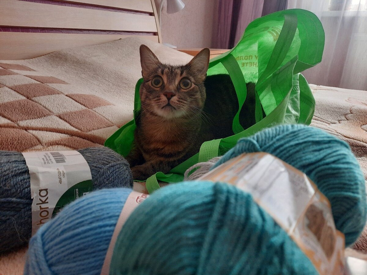 Что, опять будете вязать про меня? 