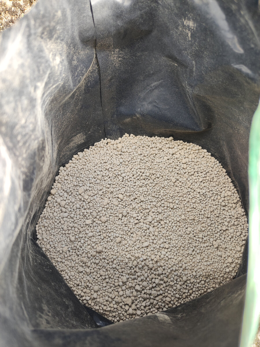 Фото автора, удобрения, апрель 2023 года