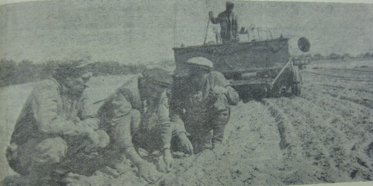 1968 год, Салов В. Я., Ворожбитов В. Н., Довгалёв А. А.