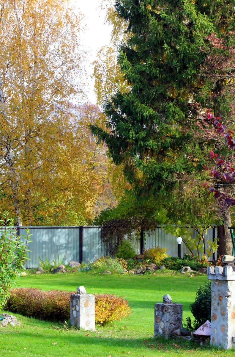 Фото автора последнее буйство красок уходящего года