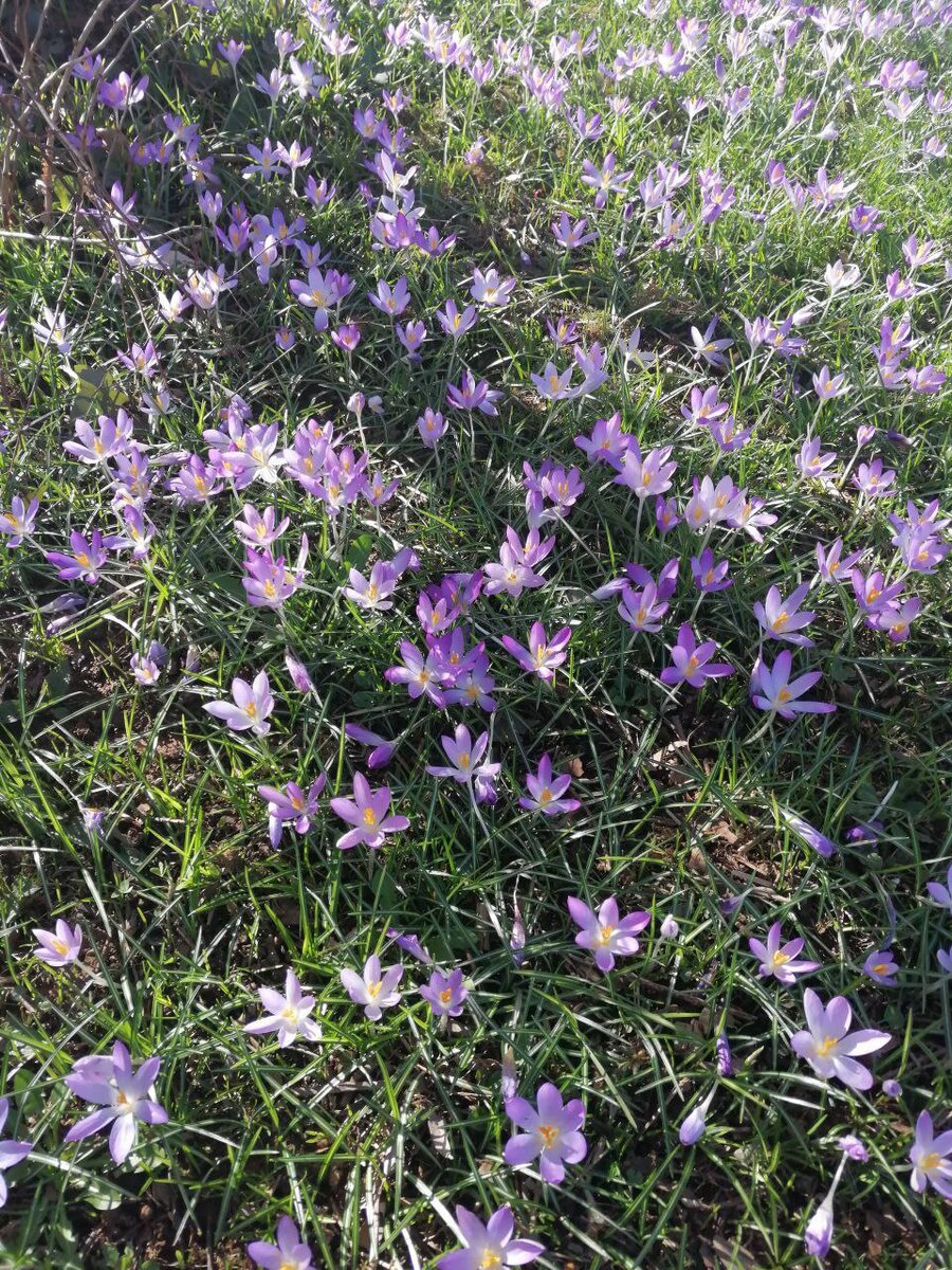 Три дня без расходов | Жизнь без претензий | Дзен