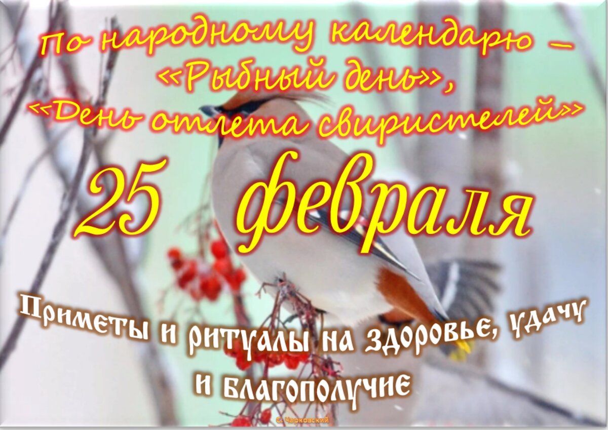 Встречаем новый день