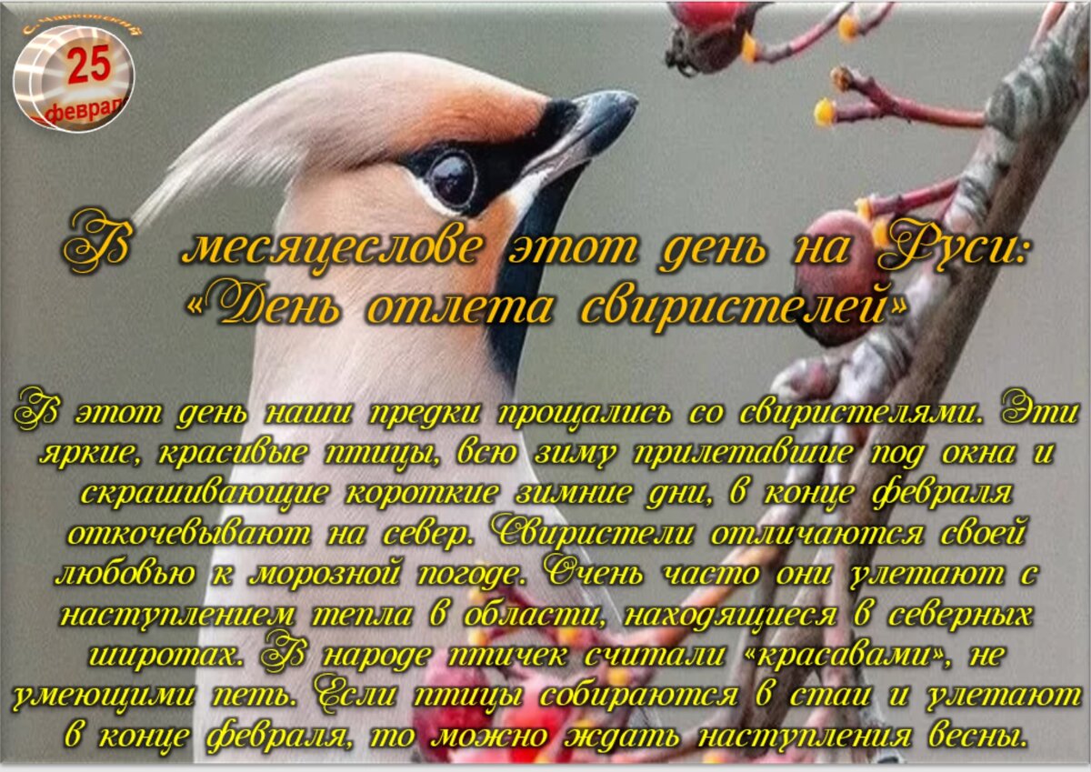 Встречаем новый день