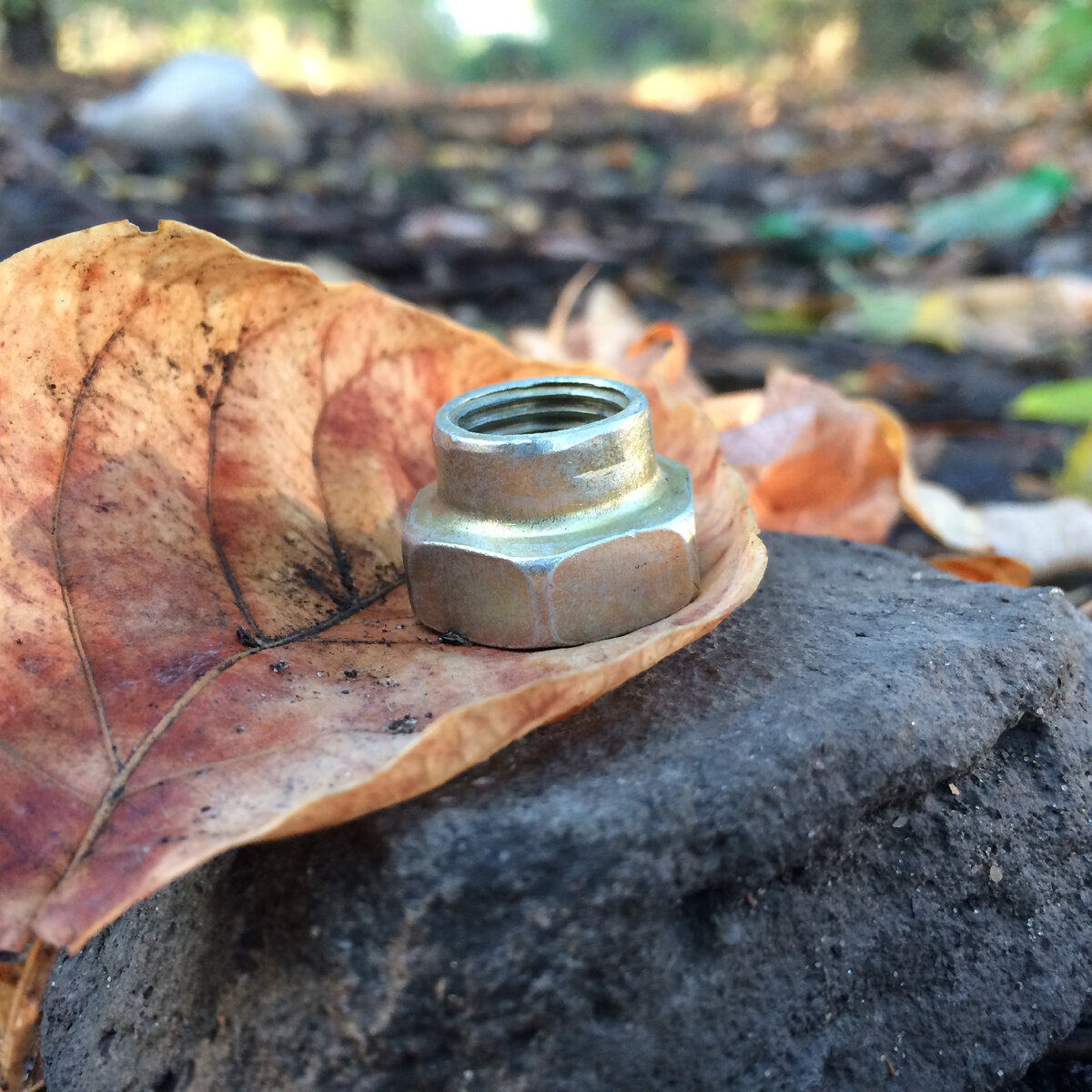 Фото автора статьи 
Дет. 853528 Гайка стойки стабилизатора самоконтрящаяся М20х1,5-6Н