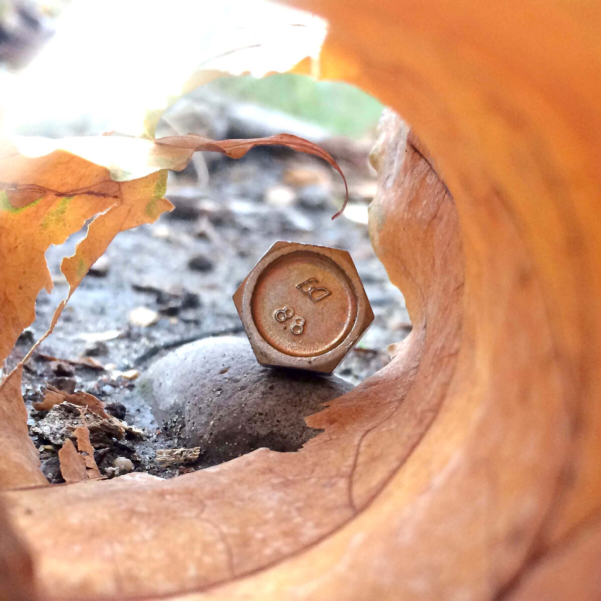 Фото автора статьи
Дет. 1/60432/21 – табл. FIAT-ВАЗ 10312 – Болт М8х16 R80 Znt