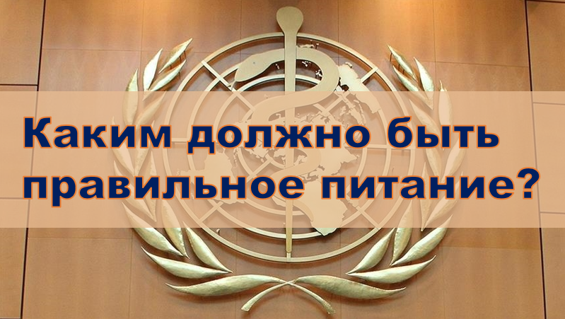 Каким должно быть правильное питание