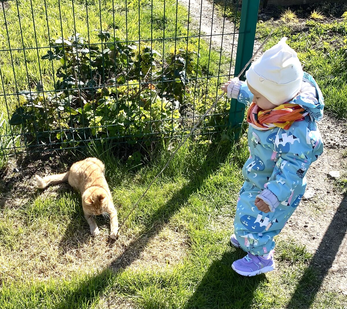 Игры с Филей)