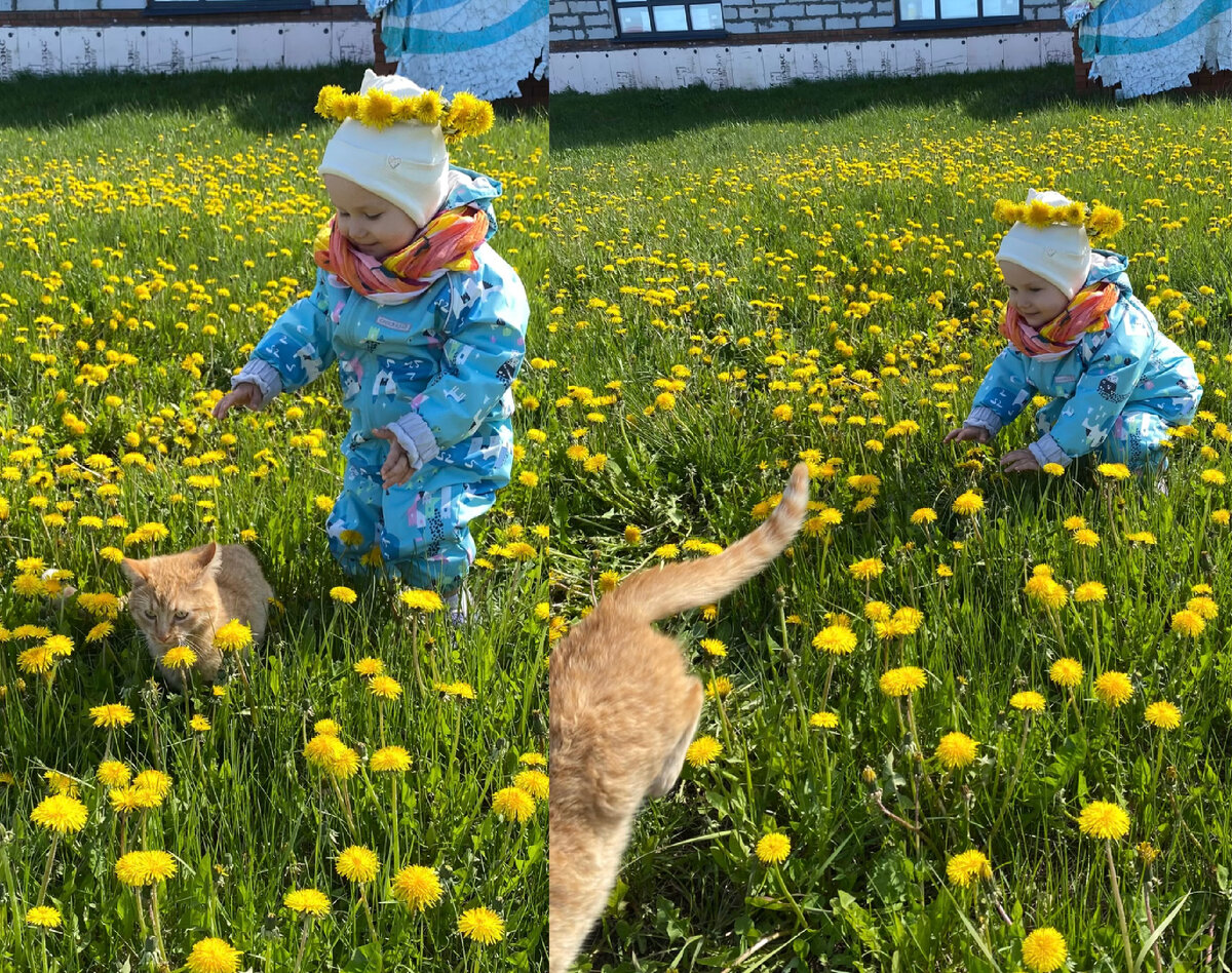 Ловим кота) Максимально не тактильный Филя)