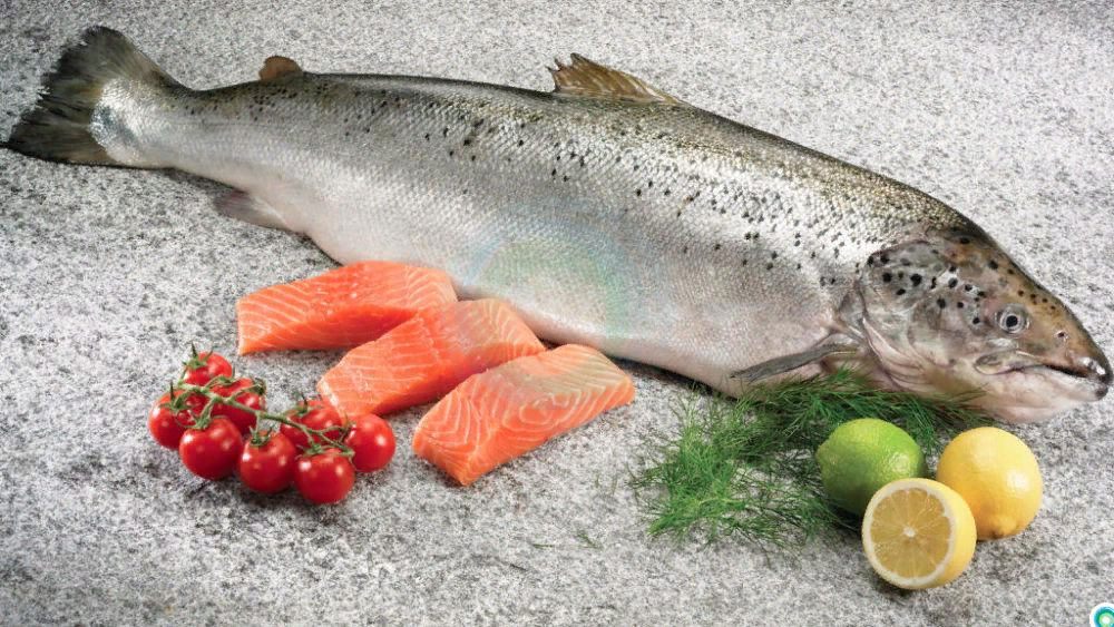 Форель. Фото из интернета