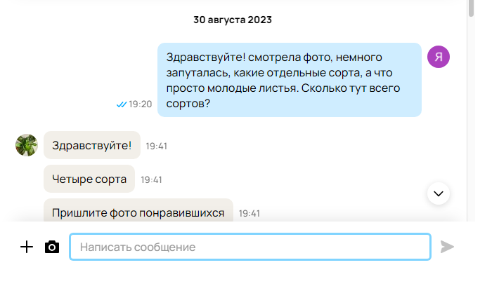 Как узнать информацию. Исключить из поиска слово. Хочу узнать информацию. Хочу узнать информацию. Хочу узнать информацию.