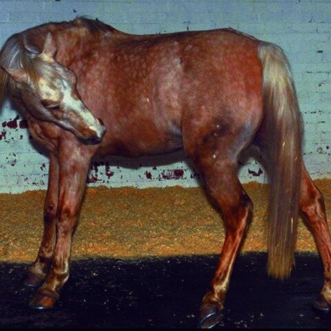 Повернулся спиной. Цитаты про спину. Почему поворачиваются спиной. Поза человека руки за спиной. Повернуться спиной цитаты.