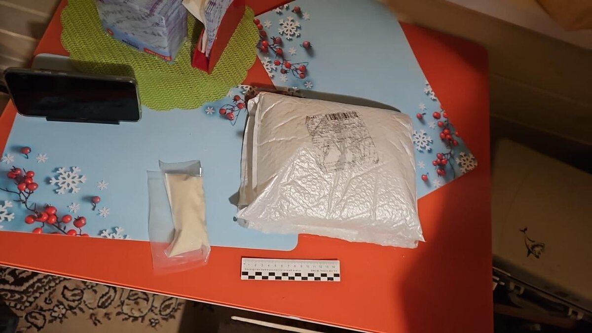 Фото:  пресс-служба ГУ МВД по Санкт-Петербургу и Ленобласти.