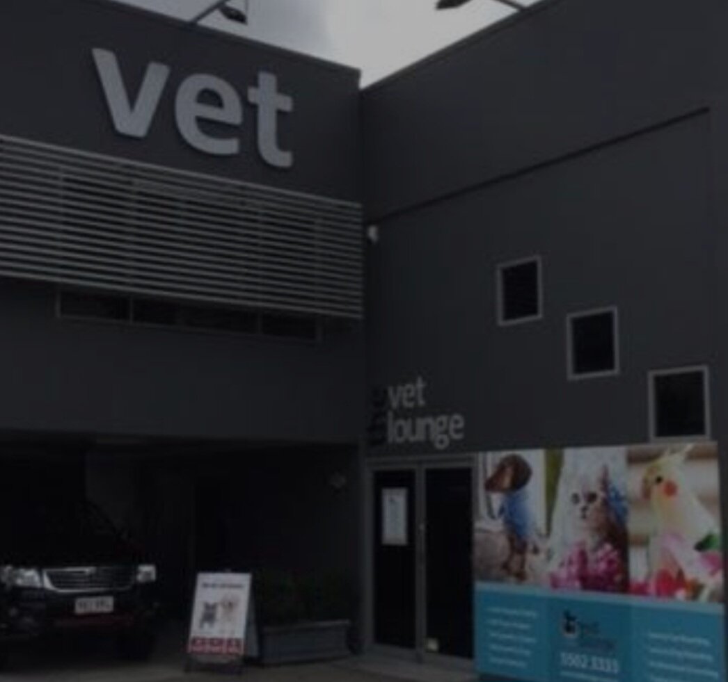 The Vet Lounge